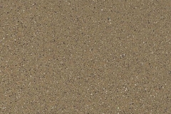Sahara